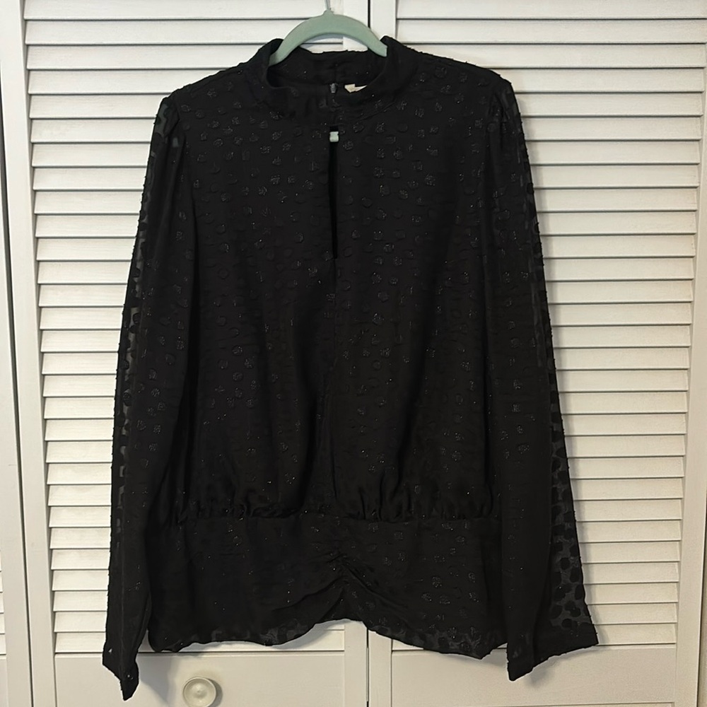Women’s Shimmery Blouse